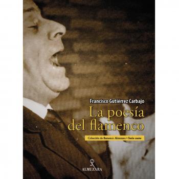 La poesía del flamenco