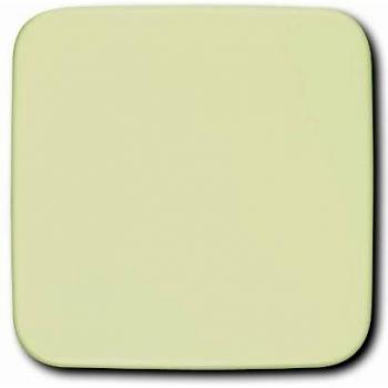 White Blind Plate Cover - ABB Busch-Jaeger Infoline Central Control Element 1576 C-212