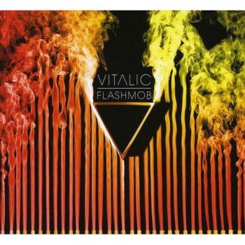 Flashmob - Vitalic