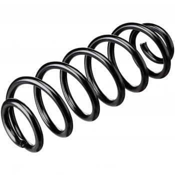 Muelle del chasis LESJÖFORS 4204270 - Muelle de suspensión de acero, diseñado para vehículos, alta resistencia y durabilidad, compatible con diversos modelos automotrices