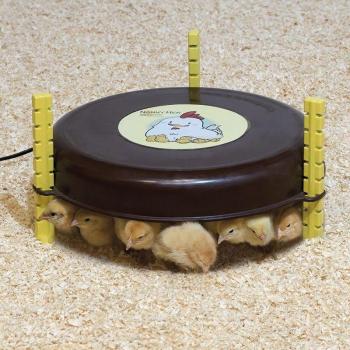 Calefactor para Pollitos SUINGA 18W, 220/240V, 35x20 cm