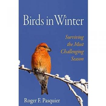 Birds in Winter: Surviving the Most Challenging Season