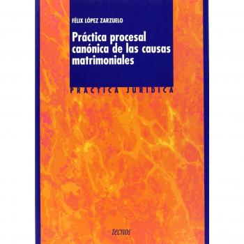 Práctica procesal canónica de las causas matrimoniales
