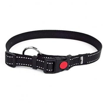 Bio zoo - Collar Regulable Perros naylon Reflectante