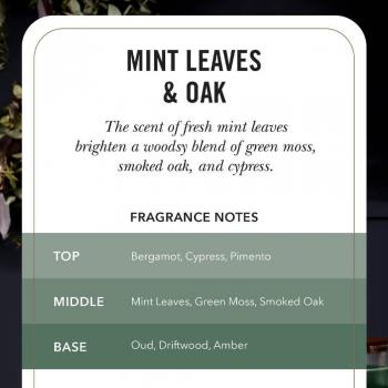 WoodWick Mini Hourglass Candle - Mint Leaves Oak