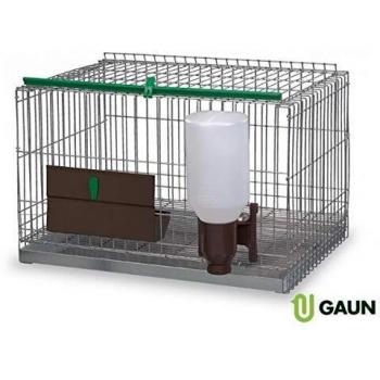 GAUN 62474 Jaula Pequeños Animales, 580 mm x 430 mm x 380 mm