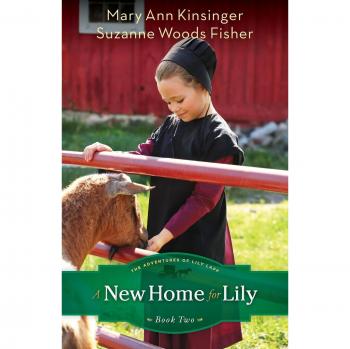 New Home for Lily: Volume 2
