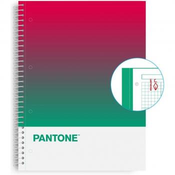 Cuaderno Escolar Pantone A4 80h 5x5 SS - Pack de 5 unidades