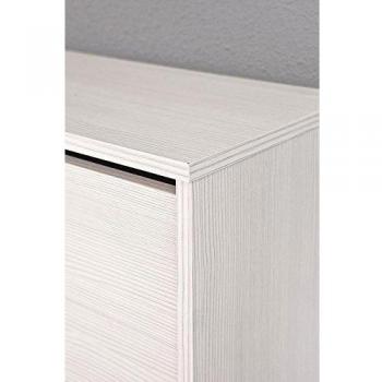 Intradisa 23AB - Zapatero, 3 puertas abatibles oregon