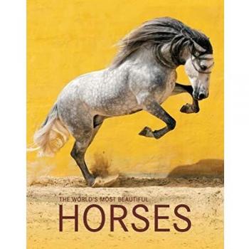 HORSES- LOS CABALLOS MAS BELLOS DEL MUNDO- KONEMANN
