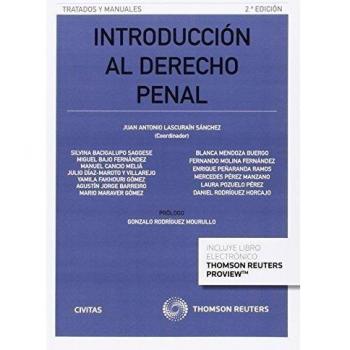 Introducción al Derecho Penal