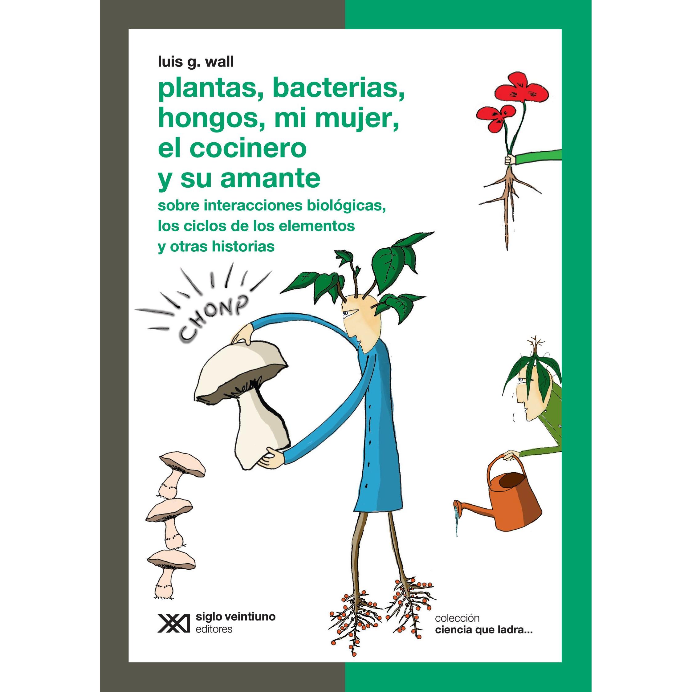 Imagen Principal