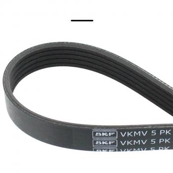 SKF VKMV 5PK817 Correa multi-V