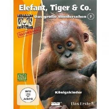 Elefant, Tiger & Co. - Das große Wiedersehen 7 [Alemania] [DVD]
