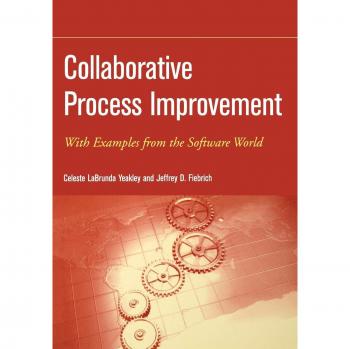 Collaborative Process Improvement: With Examples from the Software World: 65