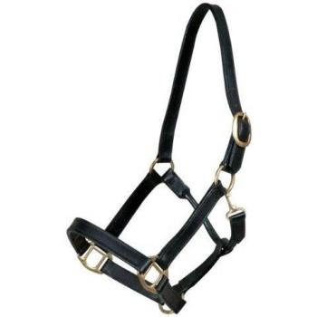 PFIFF Cordero Protector para cincha