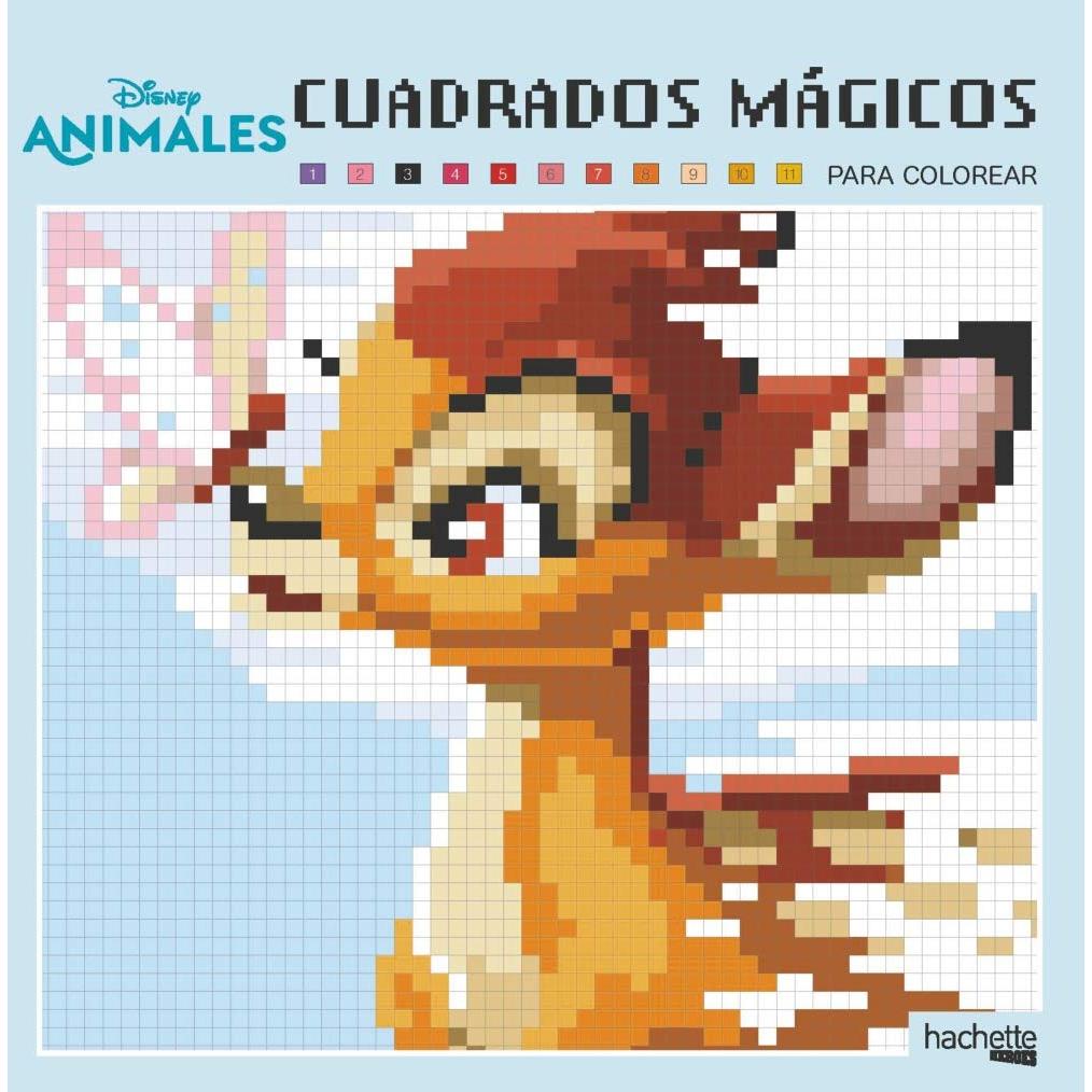 Imagen Principal