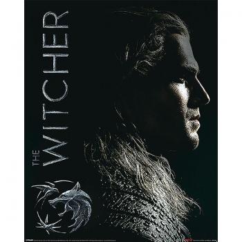 Póster The Witcher Shadows Embrace - Pyramid International