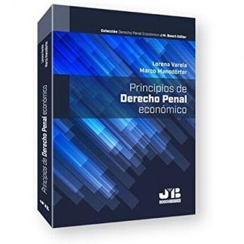 Principios de Derecho Penal Económico: 1