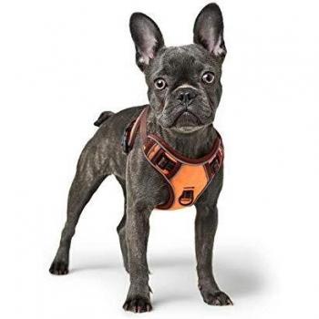 HEELE Arnes de Perro Antitirones Cómodo Chaleco Ajustable Correa al Cuello y Pecho para Perros Mediano Material Duradero Transpirable con Asa Seguridad Adaptarse a Ejercer Externo M/Naranja