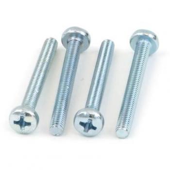 M4 x 30mm Screws with Head (4 Pieces)