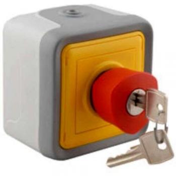 Pulsador Doble Superficie Legrand Plexo Gris para Persiana