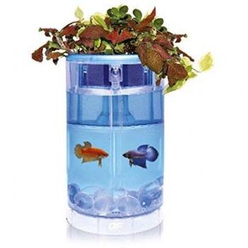Ocean Free AT620C Kit Betta Flora Led, Azul
