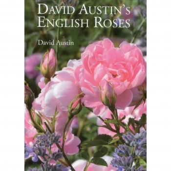 David Austin's English Roses
