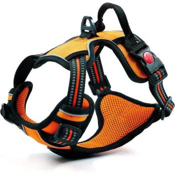 K2 ARNES 33-43CM - Arnes para Perro Pequeño con Sistema Antitirones en Color Azul