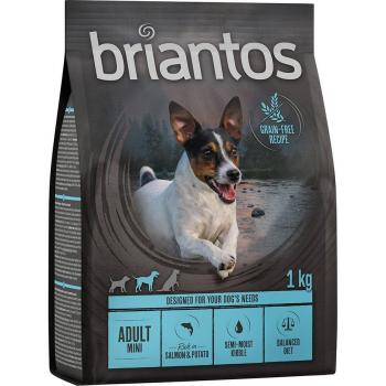 Briantos Adult Mini Salmón y Patata Sin Cereales 1 kg Pienso para Perros
