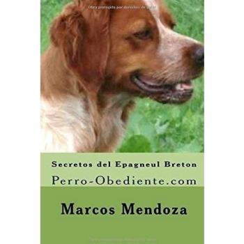 Secretos del Epagneul Breton: Perro-Obediente.com