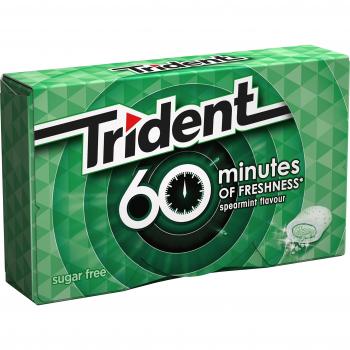 TRIDENT chicle 60 minutos sabor hierbabuena paquete 20 gr