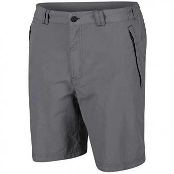 Regatta Leesville II-Pantalón Corto De Senderismo De Tejido Ligero Repelente Al Agua con Protección UV Shorts, Hombre, Ash, 33