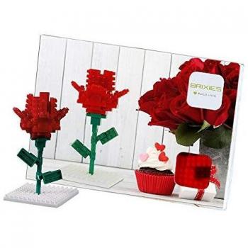 Brixies- Postal Rosa, Multicolor