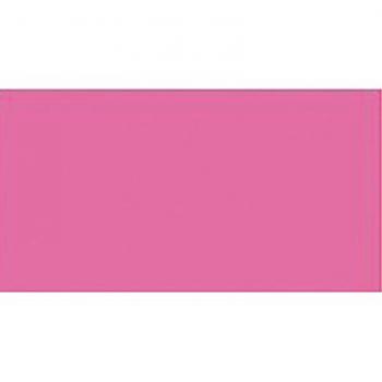Canson 200403812 - Cartulina fluorescente, 25 hojas, 50 x 65 cm, 185 g, color fucsia