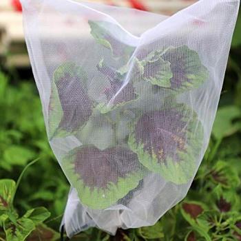 Seika - Bolsa de red para mosquitos, con cordón, protección para plantas