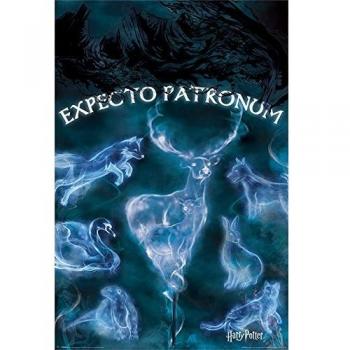 Pyramid International - Maxipóster «Expecto Patronum» de Harry Potter, plástico y Cristal, Multicolor, 61 x 91,5 x 1,3 cm