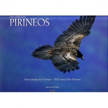 Fauna salvaje de los Pirineos: 5
