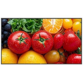 Monitor Digital Signage AG Neovo QM-5503 55 4K Ultra HD (3840 x 2160 píxeles, 500 cd/m², 5000:1, 24/7)