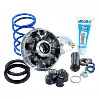 Variador Polini Hi-Speed Evolución D.16mm 12,5° Piaggio Zip Unbraked