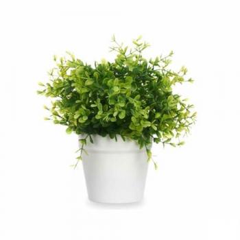 Planta Decorativa de Plástico Pequeña (6 Unidades)