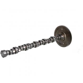 Árbol de levas BF 20 1003 90600, compatible con motores BF, diseñado para mejorar el rendimiento del motor, fabricado con materiales de alta calidad para mayor durabilidad y resistencia al desgaste