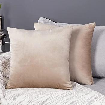 Deconovo Fundas para Cojines de Almohada del Sofá Cubierta Suave Decorativa Protector para Hogar 2 Piezas 55 x 55 cm Caqui Claro