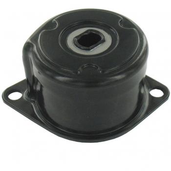 SKF VKM 31086 Kit tensor multi-V