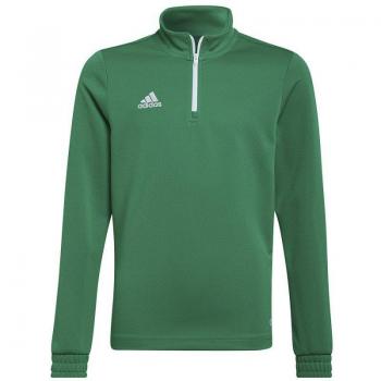 Sudadera adidas entrenamiento entrada 22 infantil verde