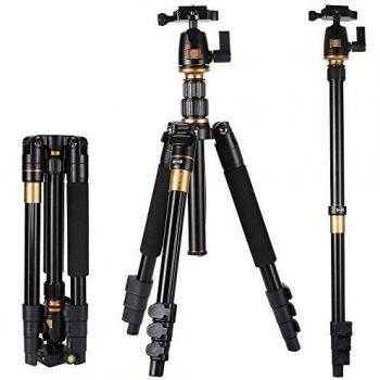 XCSOURCE? Q-555 Tršªpode Monopod Rotula Ball Head Profesional Portš¢til Magnesio Aluminio Aleaciš®n Cš¢mara SLR Canon Nikon Sony PETAX Tripod Altura Mš¢xima: 55.9, Mš¢xima Carga: 8 kg LF393