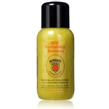 MORGAN'S HAIR REVITALISING SHAMPOO / DRY HAIR SHAMPOO / HAIR CARE 250ml