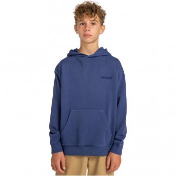 Sudadera con Capucha Element Cornell 3.0