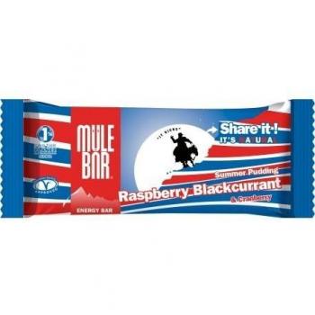Barra energética Summer Pudding – 40 g