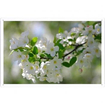 Metal cartel Cartel de chapa Hojalata sesión Flower Tin Sign White Blossoms 35624 Retro Vintage Pared Decoración by hamgaacaan